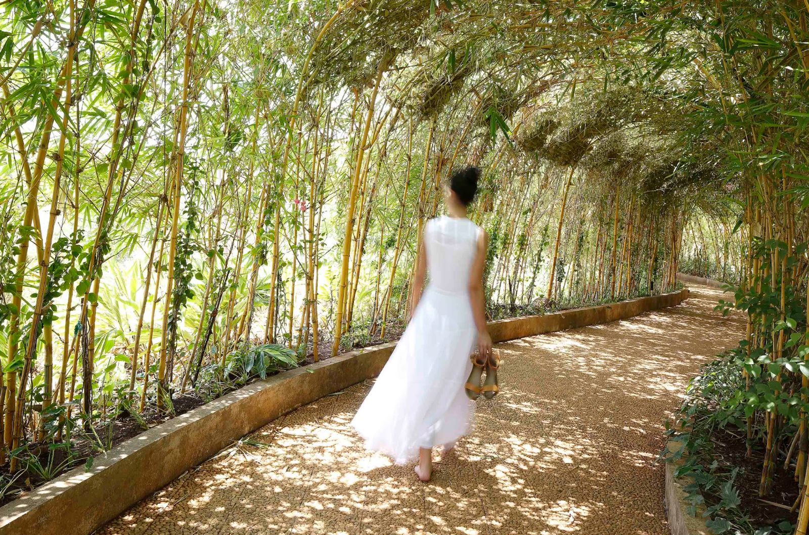 Jungle trail at Meraki Life